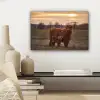 Schotse hooglander - Dieren - Landschap - Zonsondergang - Koe canvas 2cm klein -sfeer6