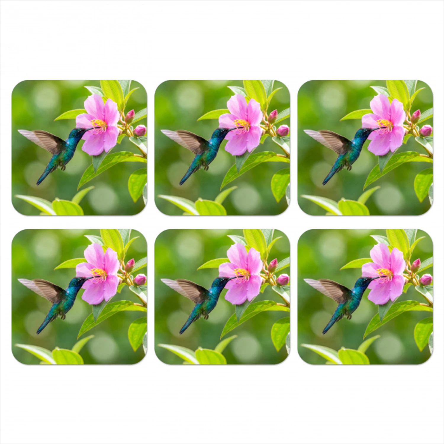 Kolibrie - Bloem - Natuur - Groen onderzetter kurk middel -3d