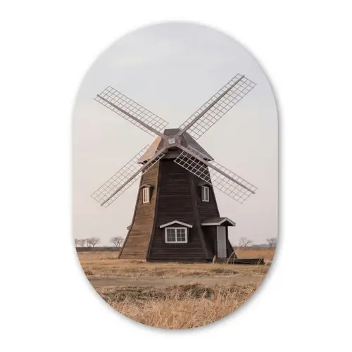 Windmolens - Landschap - Veld Wandcirkel Ovaal Forex klein -3d