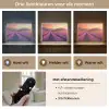 Lavendelveld - Zonsondergang - Paars Light Box met batterij (Wandlamp) middel -USP_lichtkleurNL