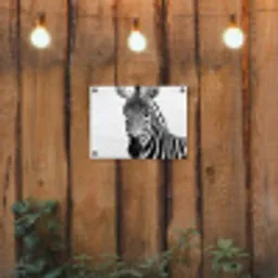 Zebra - Close-up - Zwart - Strepen tuinposter los doek klein -sfeer1