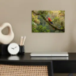 Ara - Jungle - Rood poster papier klein -sfeer1