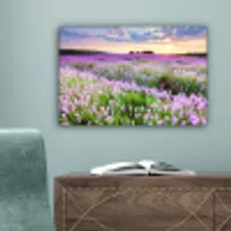 Lavendel - Bloemen - Zonsondergang - Paars - Weide canvas 2cm klein -sfeer4