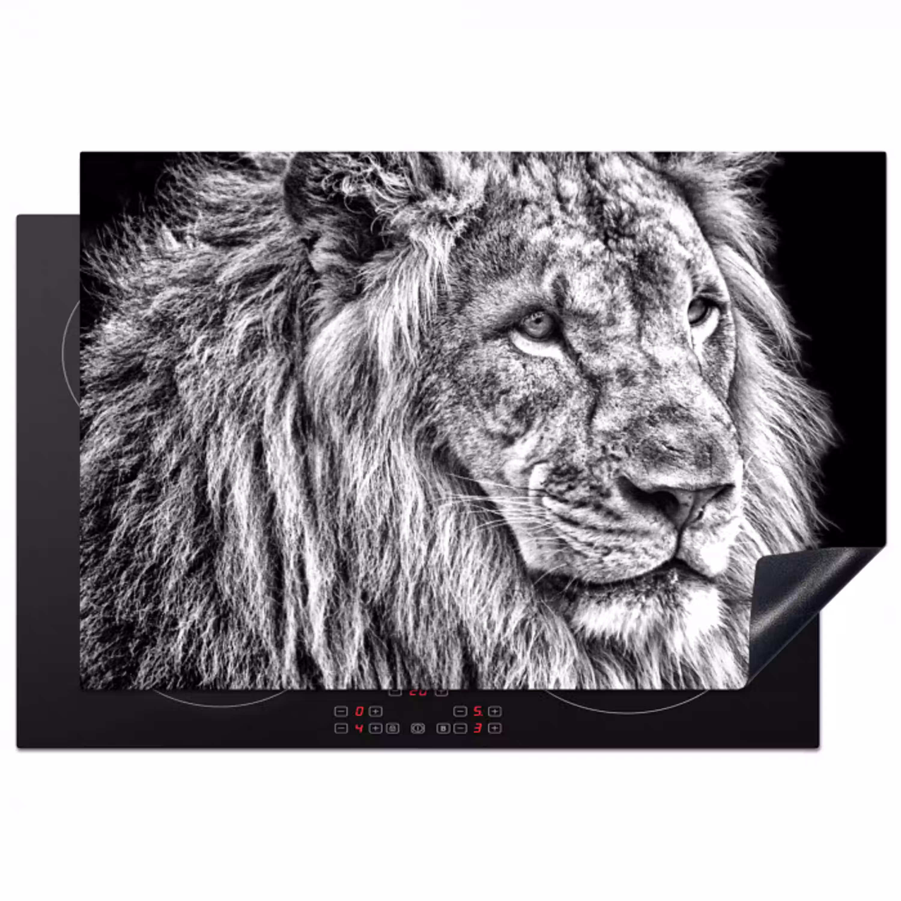 Portret - Leeuw - Zwart wit Inductie beschermer vinyl 3mm klein -3d