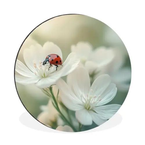 Lieveheersbeestje - Bloemen - Wit Wandcirkel aluminium klein -3d