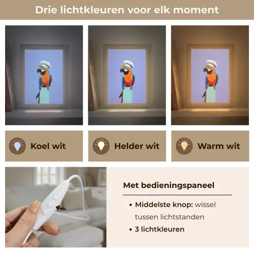 Papegaai - Koksmuts - Vogel - Leuk Light Box met kabel (Tafellamp) klein -USP_lichtkleurNL