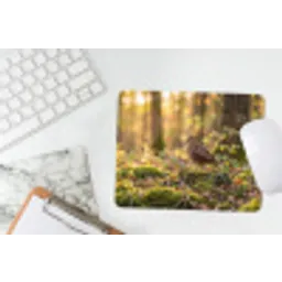 Houtsnip - Bos - Bladeren - Herfst - Gecamoufleerd muismat rubber klein -witbureau