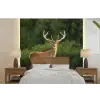 Hert - Gewei - Gras - Natuur - Dieren - Groen fotobehang vinyl groot -bed