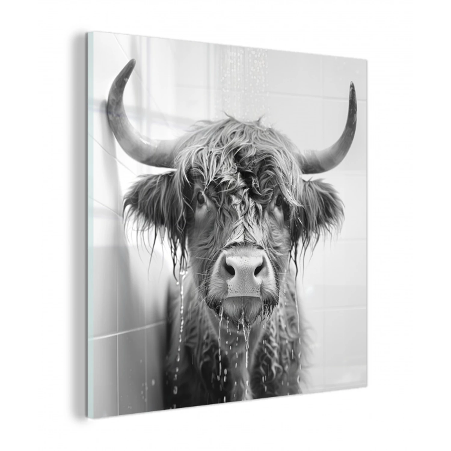 Schotse Hooglander - Dier - Douche - Humor plexiglas 5mm klein -z3d