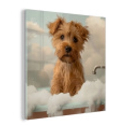 Hond - Bad - Dieren - Schuim plexiglas 5mm klein -z3d