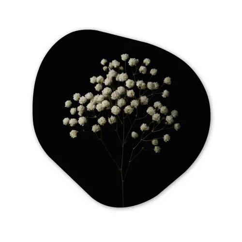 Gipskruid - Bloemetjes - Wit - Minimalistisch Wandcirkel Organisch Aluminium middel -3d