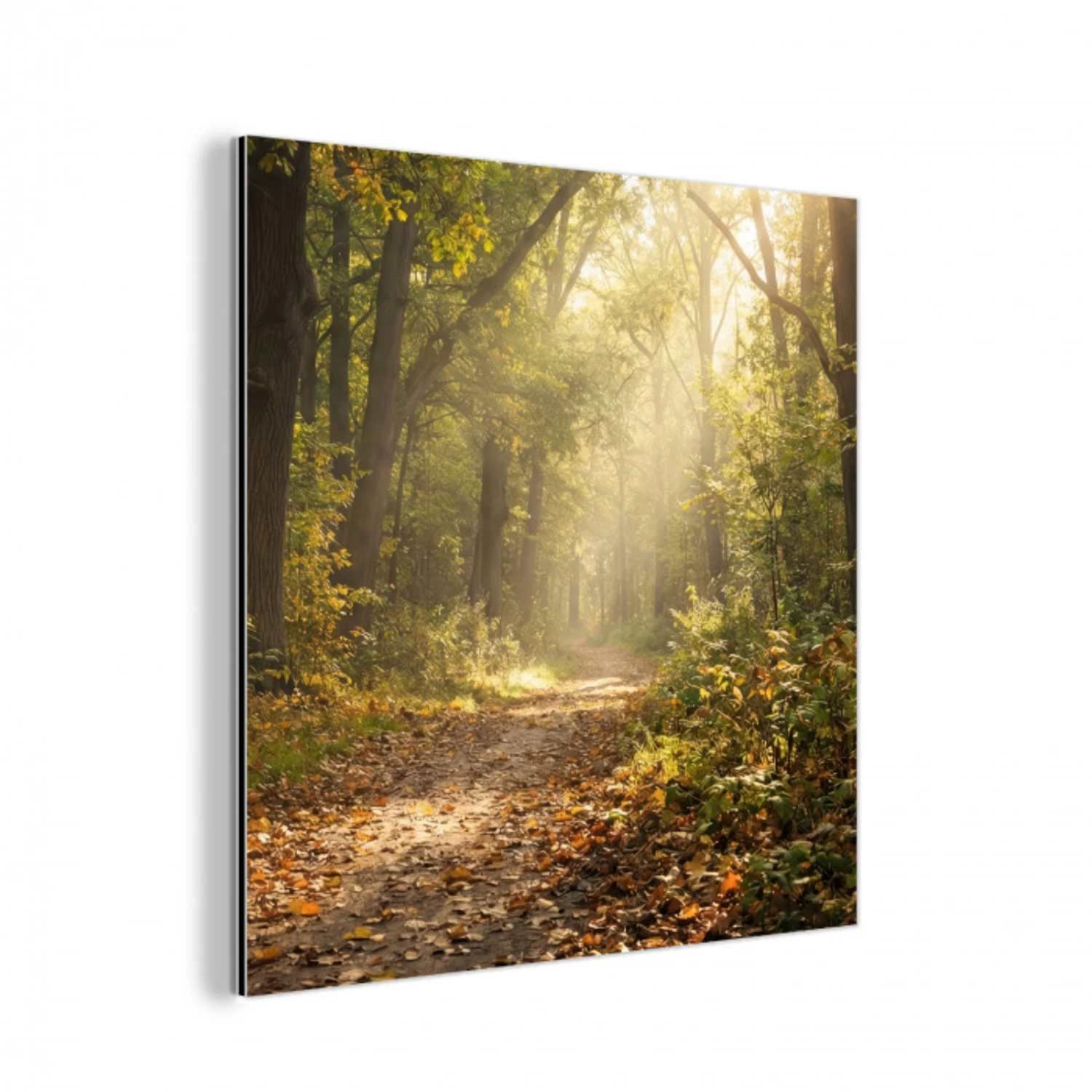 Zonlicht - Bospad - Bomen aluminium wit klein -3d