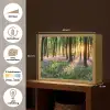 Bos - Bloemen - Lavendel - Zon - Paars - Natuur Light Box met batterij (Wandlamp) middel -USP_websiteoverzichtNL