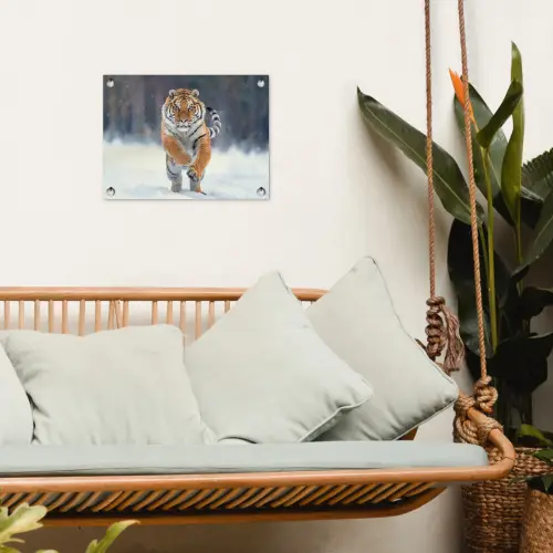 Tijger - Landschap - Sneeuw - Winter - Dieren tuinposter los doek klein -sfeer7