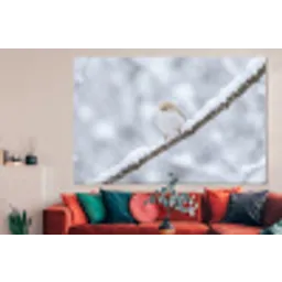 Vogeltje - Sneeuw - Tak - Winter - Zacht forex 5mm xxl -woonkamer