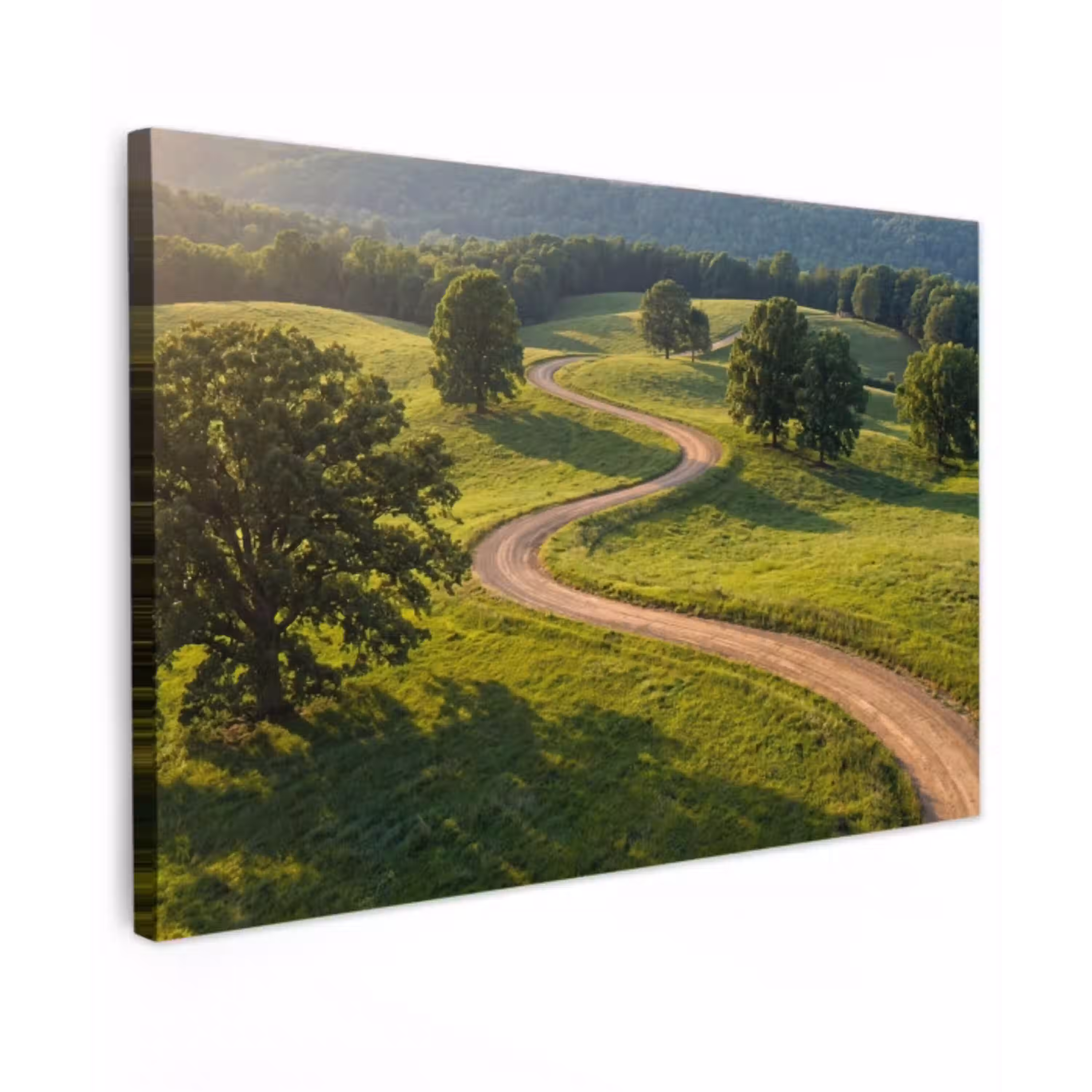 Weg - Weide - Natuur - Groen Tuinposter op houten frame 2 cm dik klein -3d