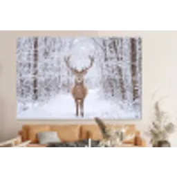 Hert - Winter - Bos - Natuur - Wit forex 5mm xxl -bovenbank