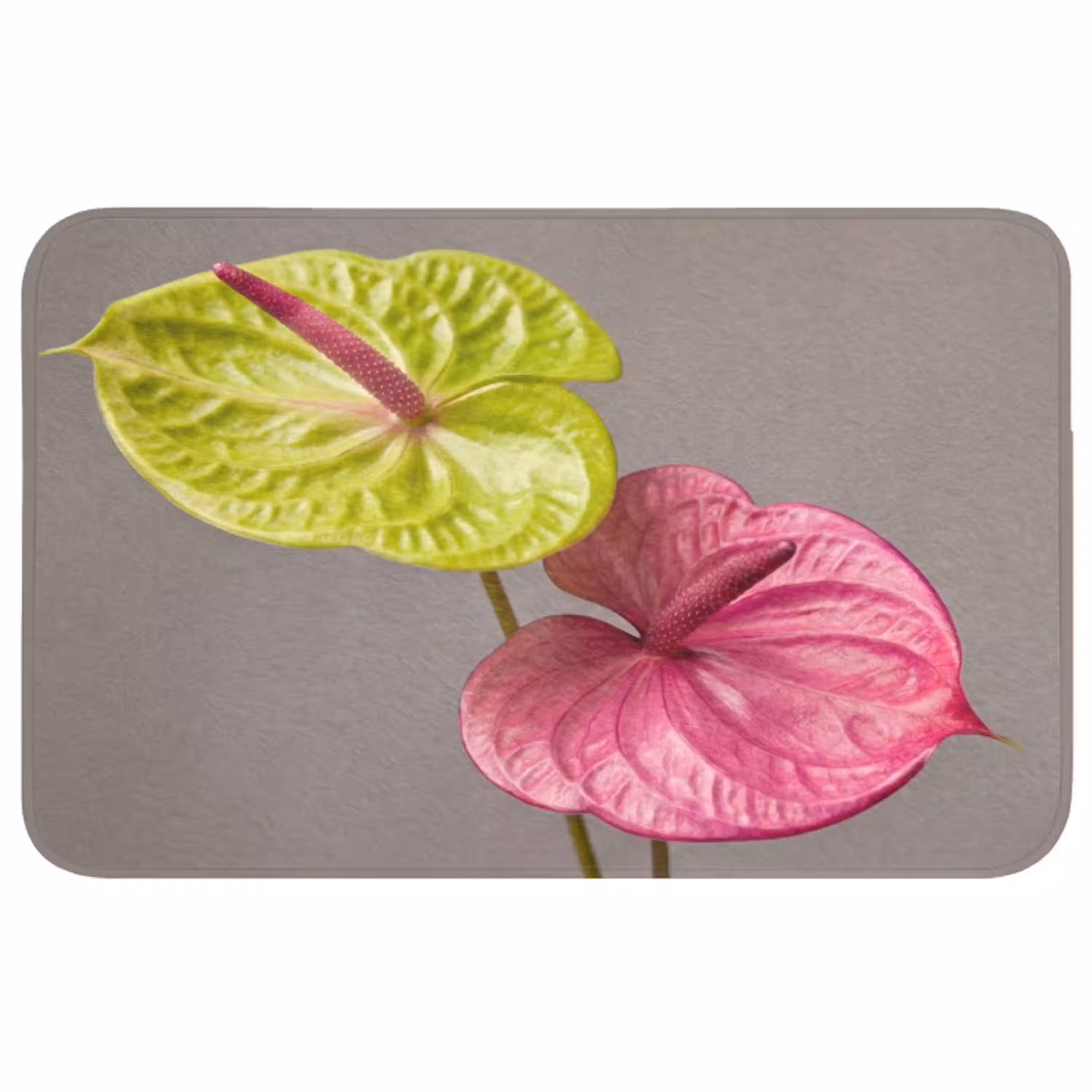 Planten - Anthurium - Groen - Roze Badmat middel -3d