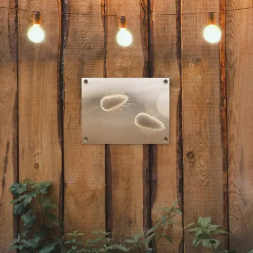 Hazestaartgras - Graanharen - Zonlicht tuinposter los doek klein -sfeer1