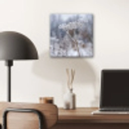 Schermbloem - Rijp - Kristallen - Winter - Delicaat aluminium wit klein -sfeer5