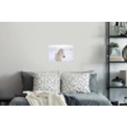 Paard - Kop - Winter - Dieren - Wit Muursticker klein -slaapkamer