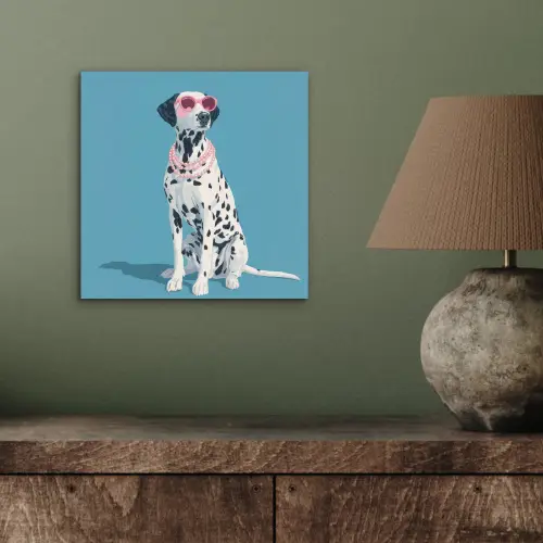 Dalmatiër - Zonnebril - Blauw aluminium wit klein -sfeer2