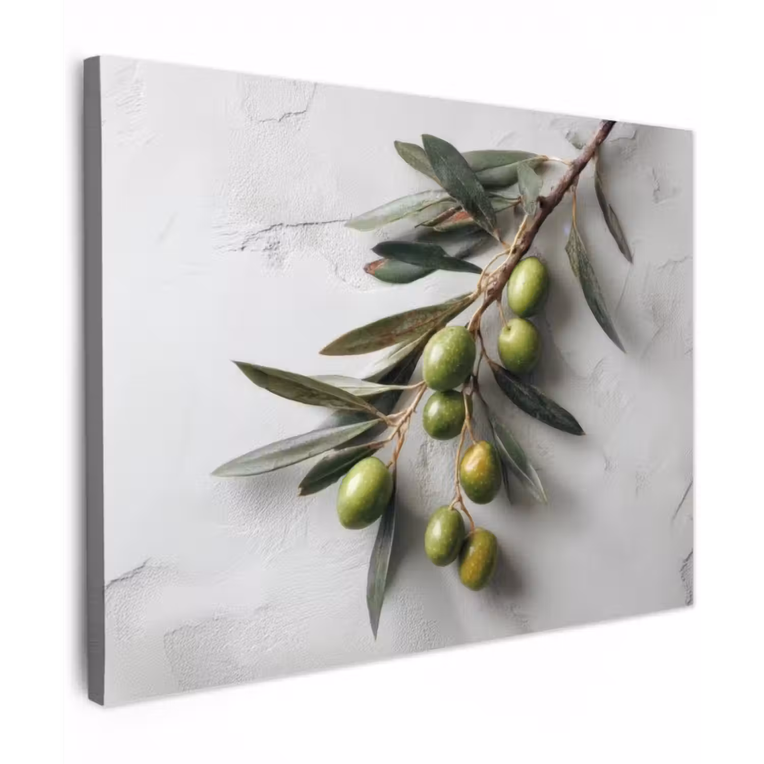 Canvas schilderij - Olijventak - Beton - Mediterraan