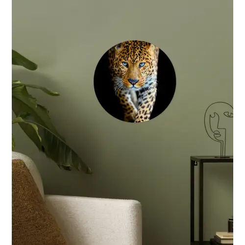 Luipaard - Dieren - Portret - Wilde dieren - Zwart Wandcirkel behangsticker klein -sfeer2
