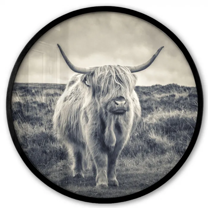 Schotse hooglander - Dieren - Wolken - Koe - Natuur Fotolijst rond zonder passe partout klein -3d