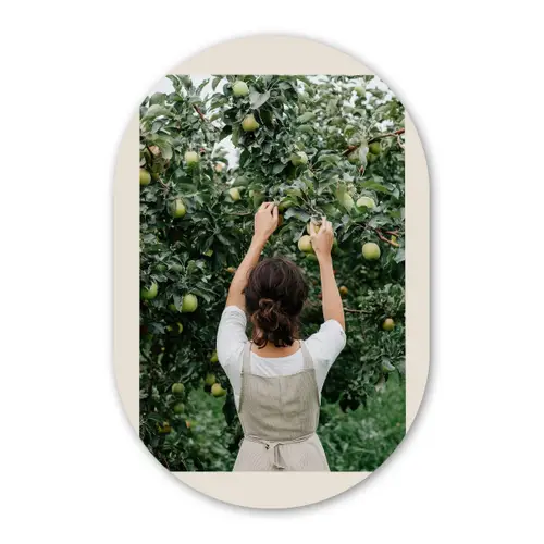 Boom - Appels - Plukken - Natuur Wandcirkel Ovaal Glas middel -3d