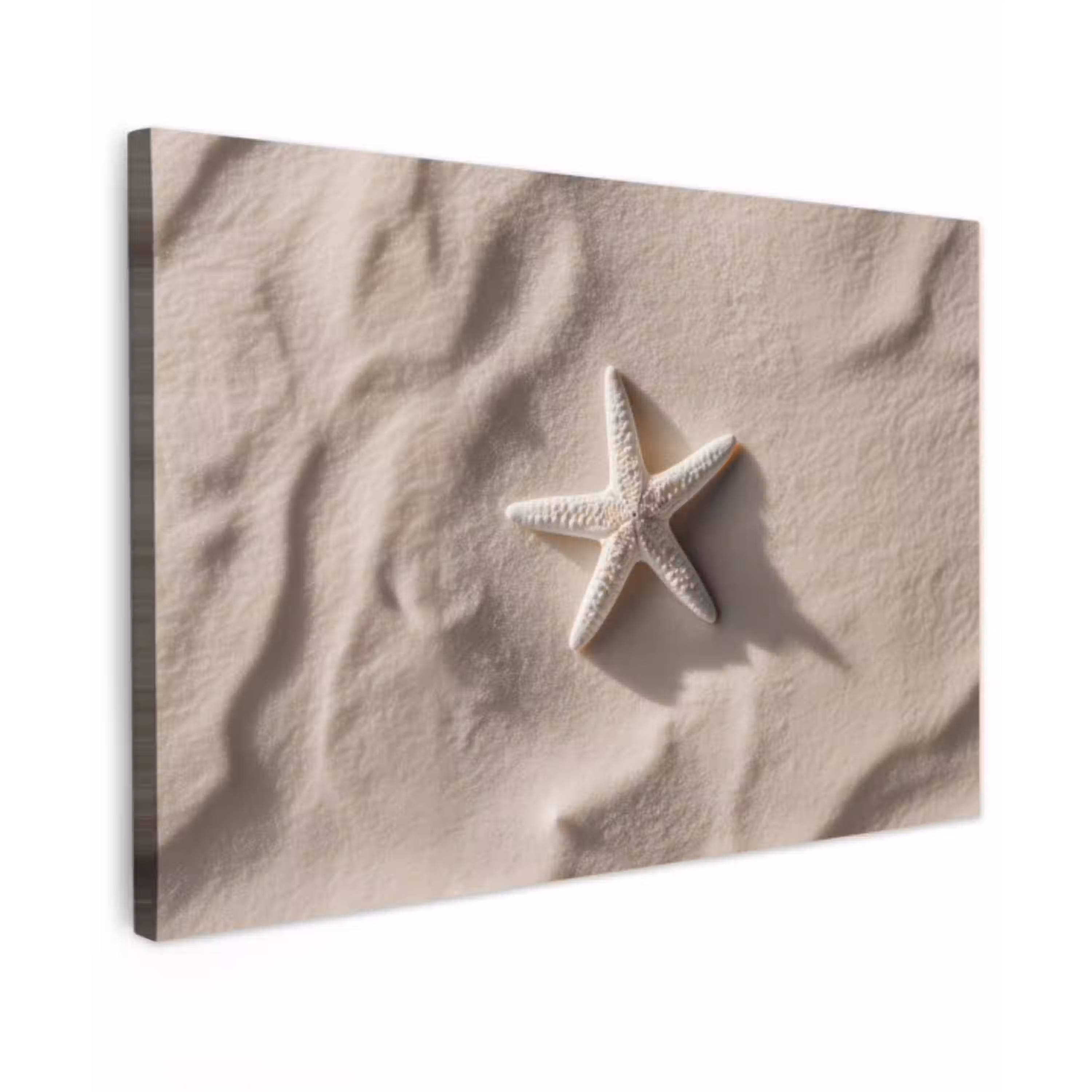 Strand - Zeester - Zand - Beige canvas 2cm klein -z3d