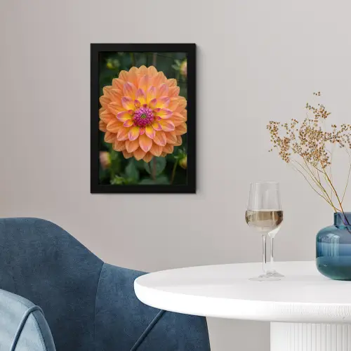 Dahlia - Bloem - Oranje fotolijst zwart zonder passe partout klein -sfeer4