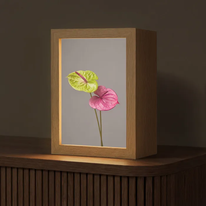 Planten - Anthurium - Groen - Roze Light Box met kabel (Tafellamp) klein -z3d_website