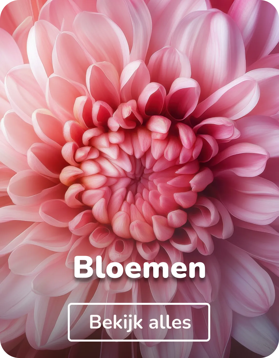 Muurcirkels bloemen