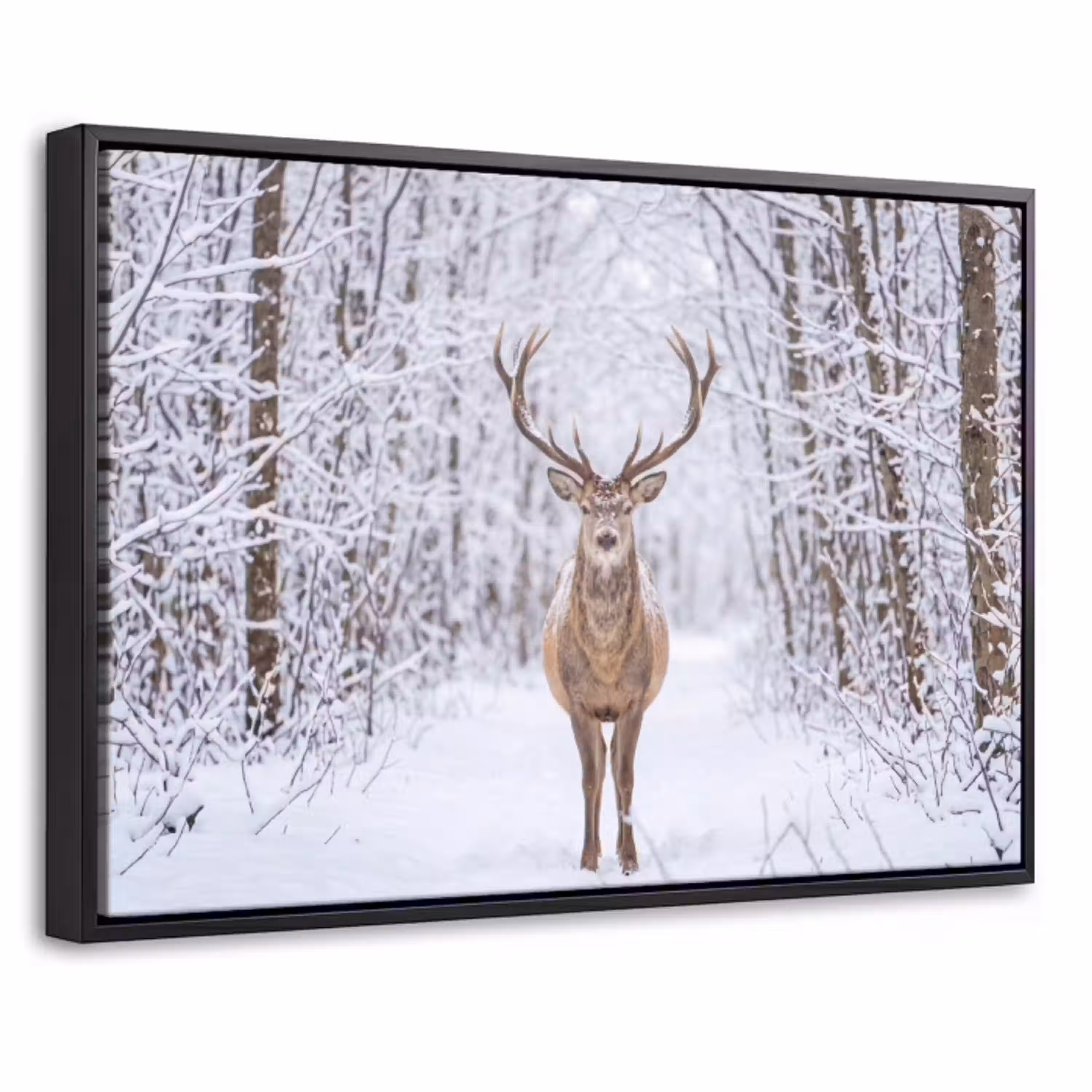 Hert - Winter - Bos - Natuur - Wit Canvas met baklijst klein -threedimensional_3d_global