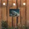 Astronaut - Kat - Glas - Stoel tuinposter los doek klein -sfeer1