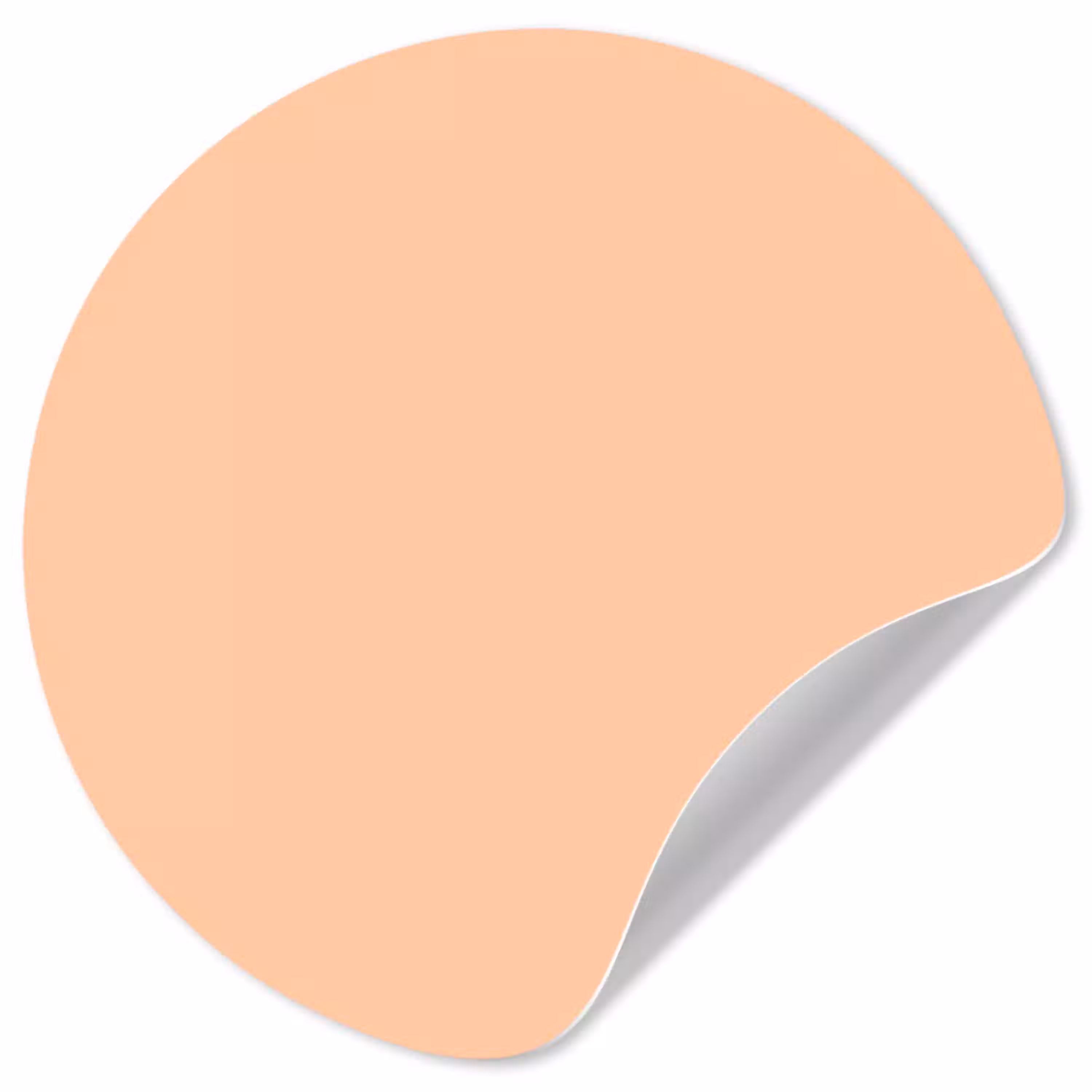 Apricot - Blush - Nude Wandcirkel behangsticker klein 186 -3d