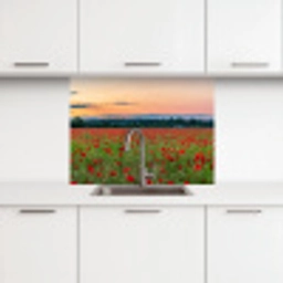 Klaprozen - Landschap - Rood - Bloemen keuken achterwand 2 middel -3d