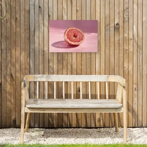 Grapefruit - Roze - Disco - Shiny Tuinposter op houten frame 2 cm dik klein -sfeer4