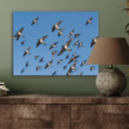 Zwaluwen - Vliegen - Blauw PET vilt klein -sfeer2