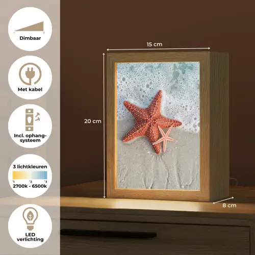 Zeester - Strand - Zee Light Box met kabel (Tafellamp) klein -USP_NL