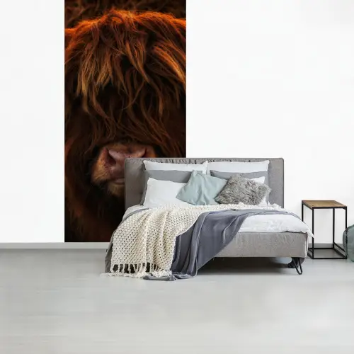 Schotse Hooglander - Koe - Portret - Dieren fotobehang vinyl groot -slaapkamer