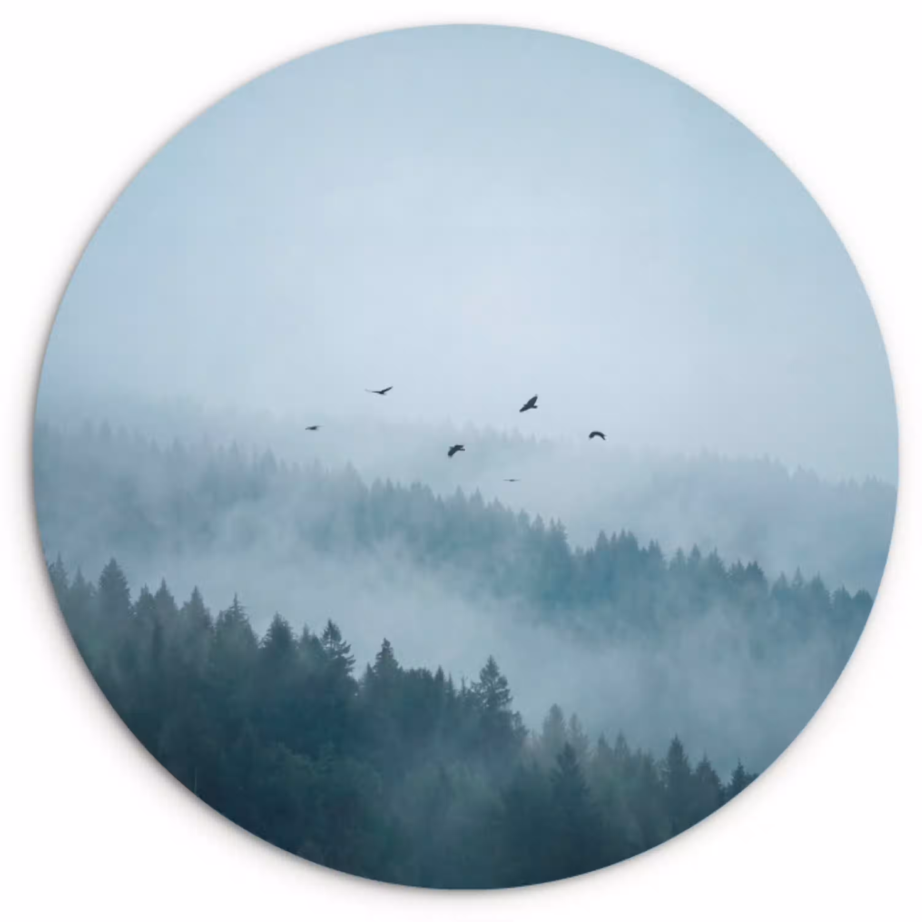 Bos - Mist - Vogels - Natuur - Groen Wandcirkel kunststof plaat 5mm dik klein -3d