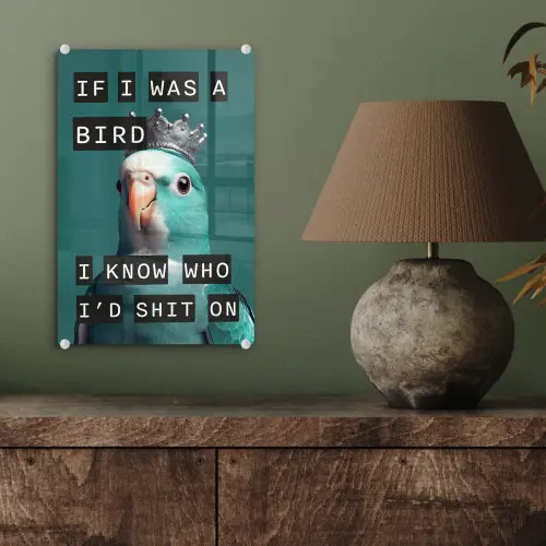Parkiet - Turquoise - Quotes - Decoratie plexiglas 5mm klein -sfeer3