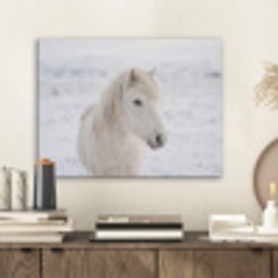 Paard - Kop - Winter - Dieren - Wit PET vilt klein -sfeer1