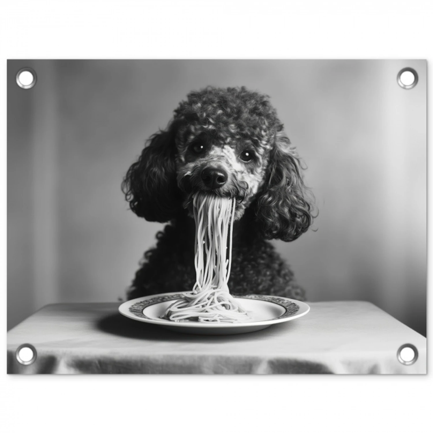 Poedel - Hond - Zwart - Wit - Schattig - Pasta tuinposter los doek klein -3d