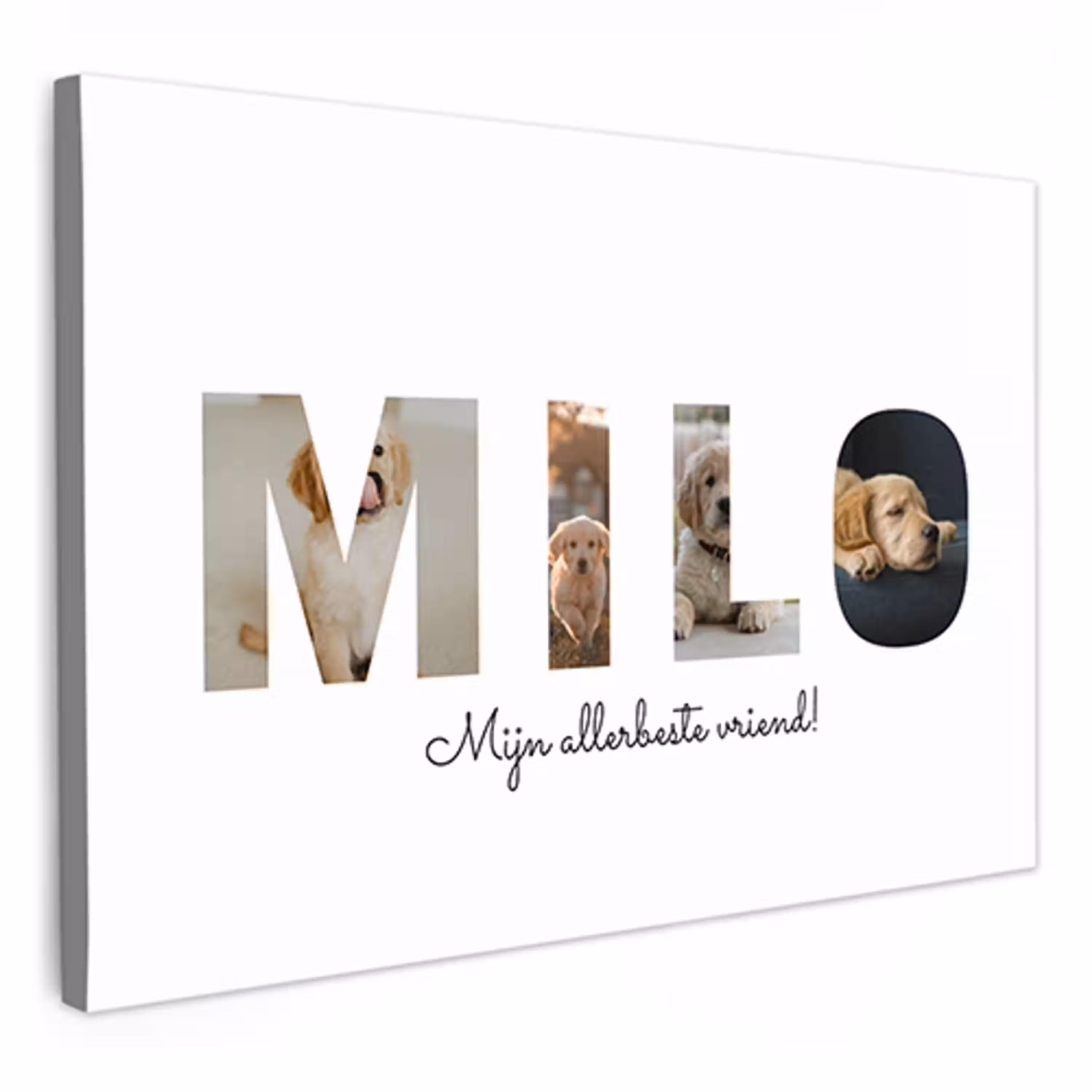20f10056-791e-4851-8be7-aeb087fcd7ef.png