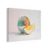 Disco - Discobal - Meloen - Pastel PET vilt klein -3d