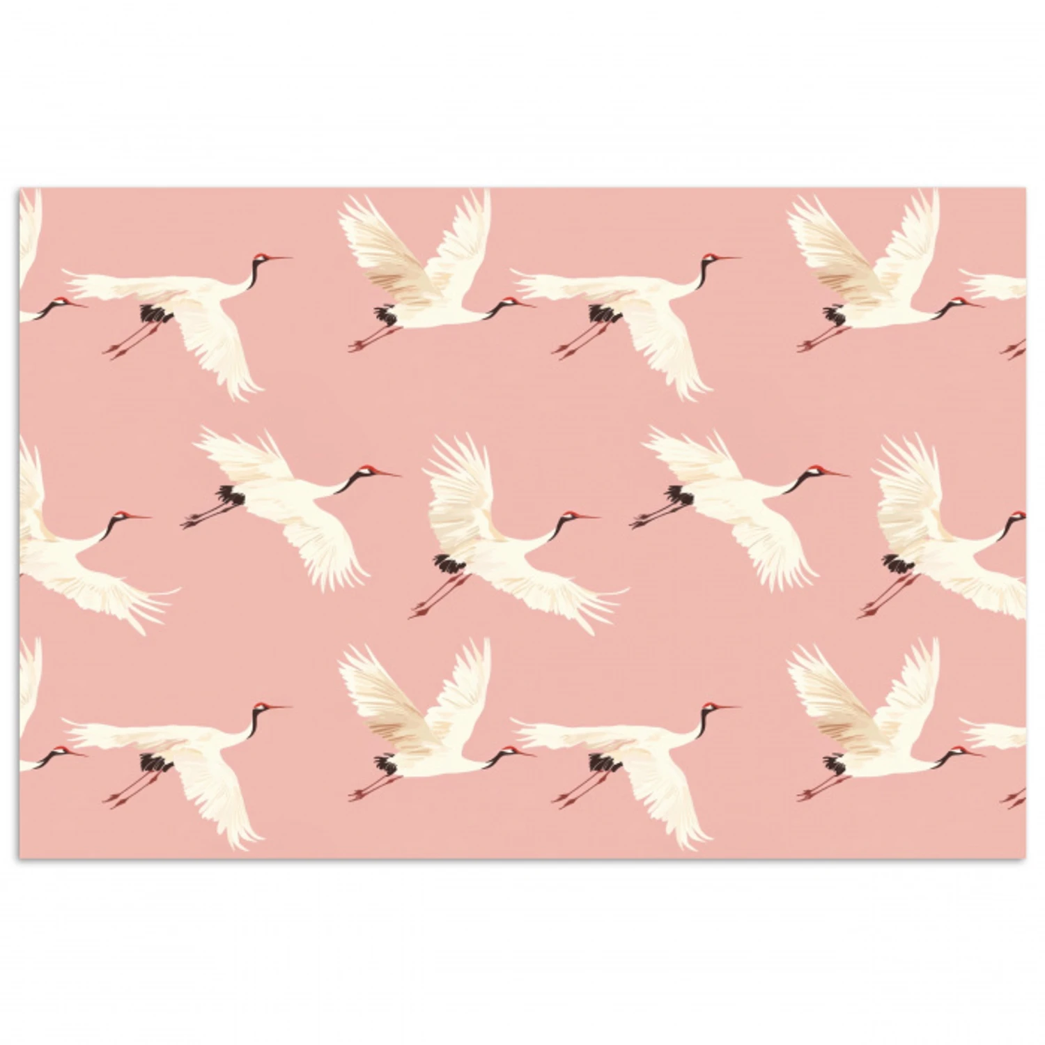 Modern - Kraanvogels - Roze poster papier klein 62 -3d