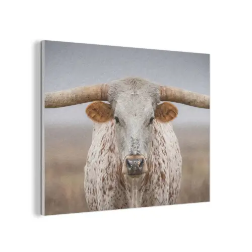 Longhorn - Grasveld - Dier PET vilt klein -3d
